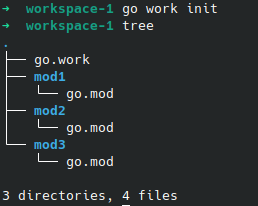 Workspace Structure after init